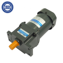 High Torque High Power 250W AC Geared Induction Motor and Gearbox 5rpm